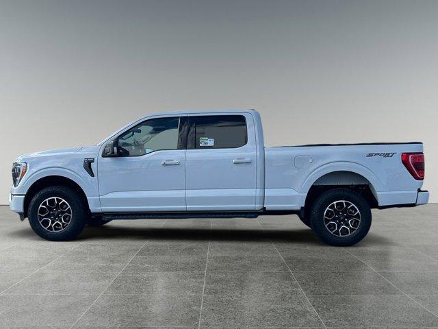 used 2023 Ford F-150 car, priced at $48,977