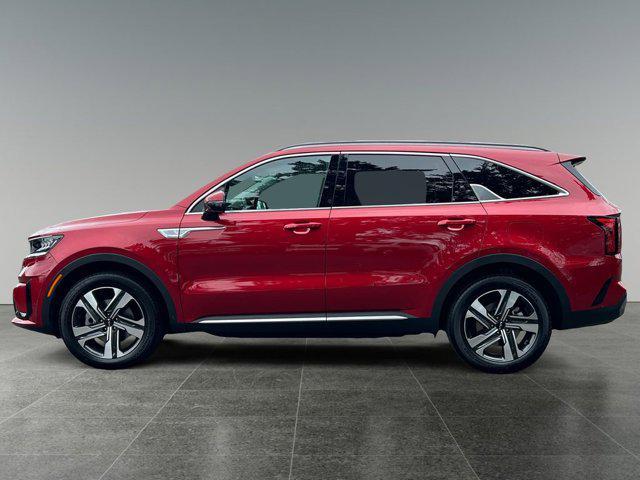 used 2023 Kia Sorento Hybrid car, priced at $33,989