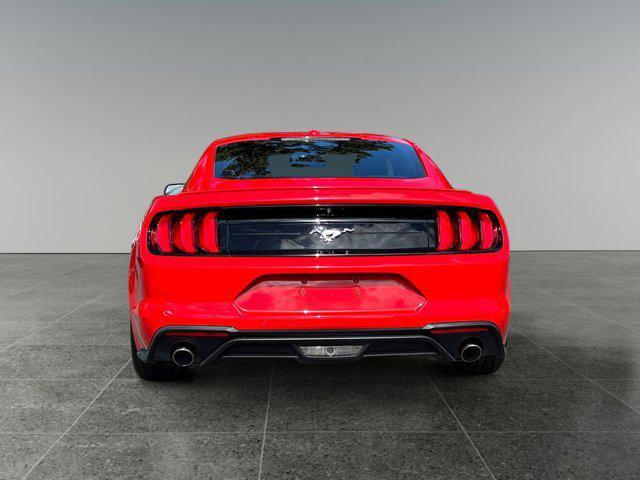 used 2019 Ford Mustang car, priced at $26,888
