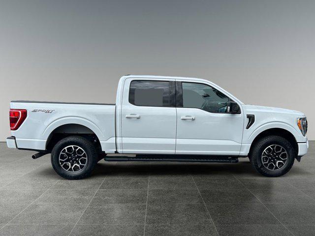 used 2023 Ford F-150 car, priced at $45,877
