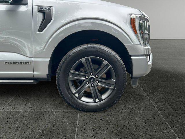 used 2023 Ford F-150 car, priced at $54,988