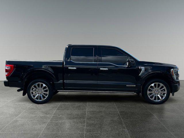 used 2021 Ford F-150 car, priced at $48,980