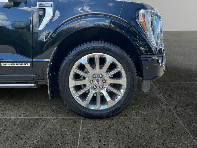 used 2021 Ford F-150 car, priced at $48,980