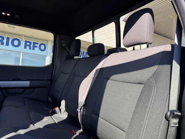 new 2025 Ford F-150 car, priced at $61,010