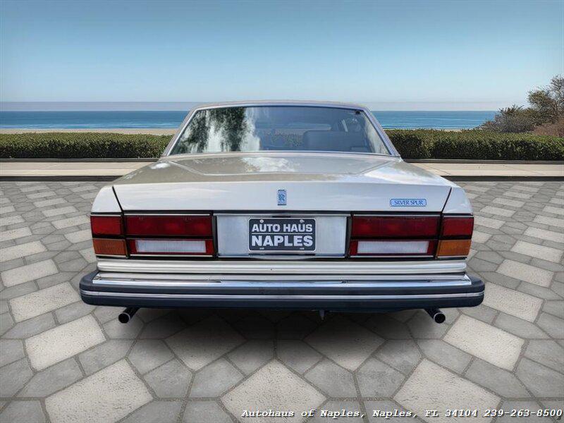 used 1981 Rolls-Royce Silver Spur car, priced at $17,900