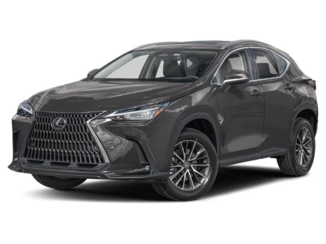 new 2025 Lexus NX 250 car