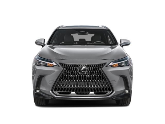 new 2025 Lexus NX 250 car