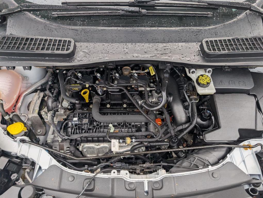 used 2019 Ford Escape car, priced at $13,900