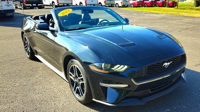 used 2022 Ford Mustang car, priced at $25,995