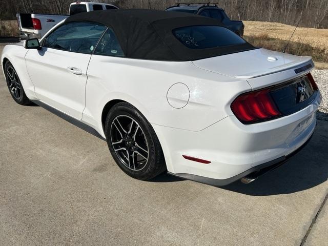 used 2021 Ford Mustang car, priced at $21,997