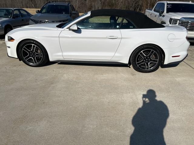 used 2021 Ford Mustang car, priced at $21,997