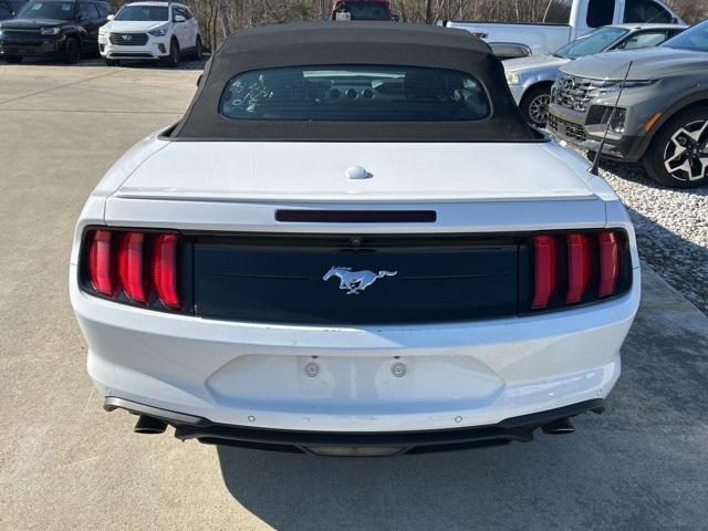 used 2021 Ford Mustang car, priced at $21,997