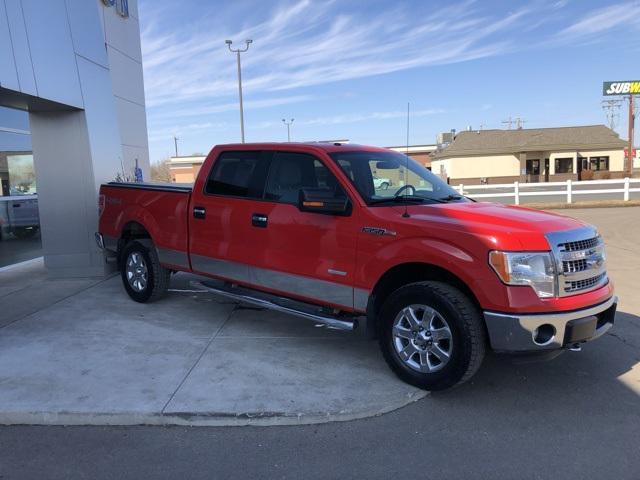 used 2013 Ford F-150 car