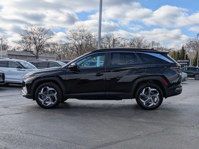 used 2023 Hyundai Tucson car, priced at $23,397