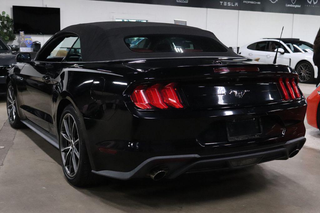 used 2019 Ford Mustang car, priced at $19,990