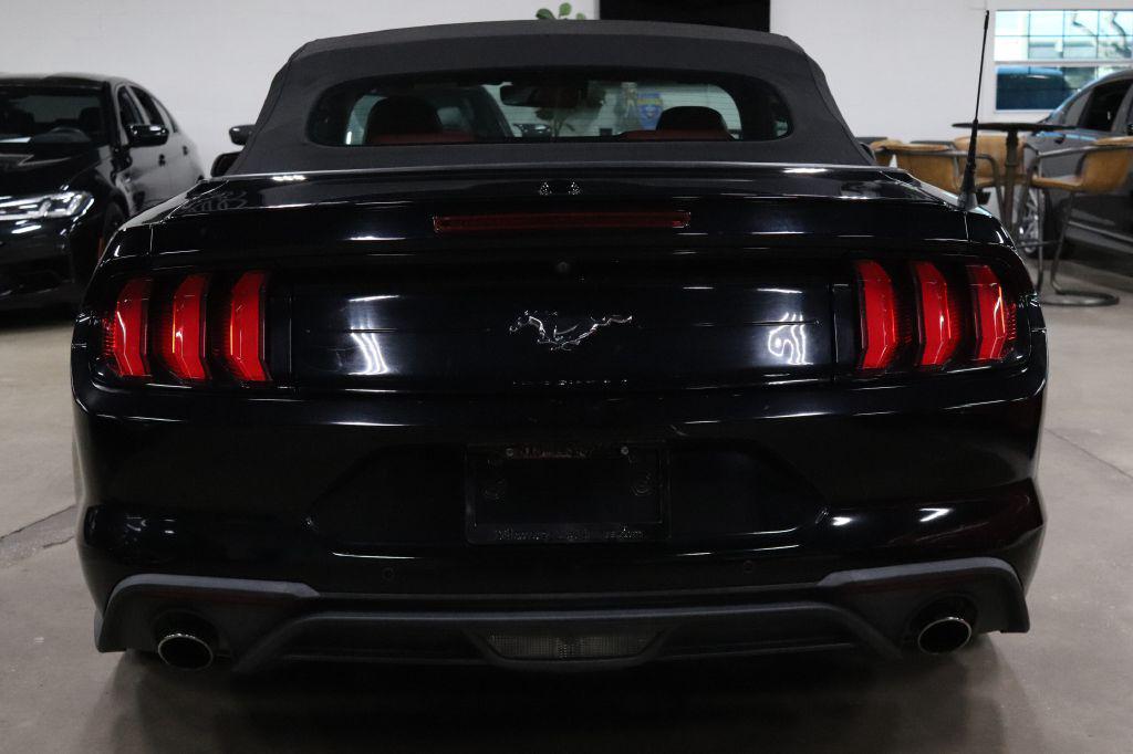used 2019 Ford Mustang car, priced at $19,990