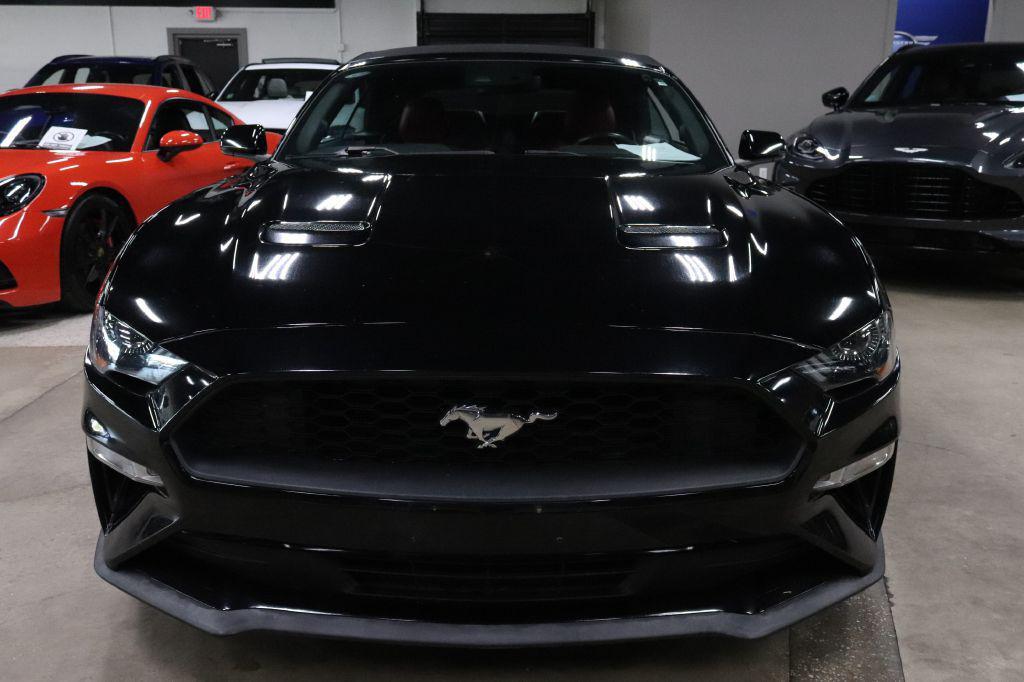 used 2019 Ford Mustang car, priced at $19,990
