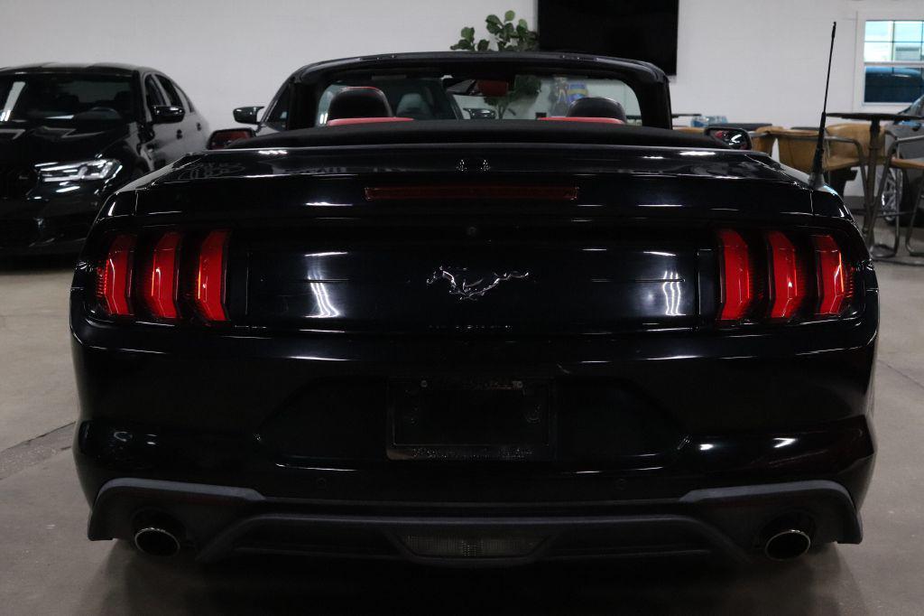 used 2019 Ford Mustang car, priced at $19,990
