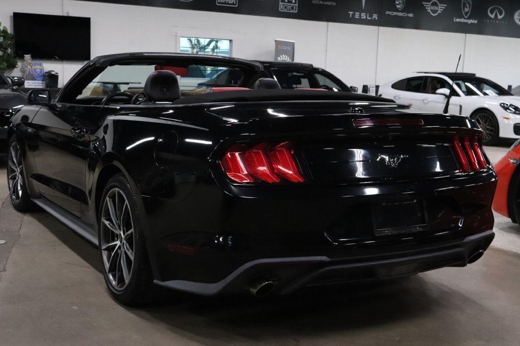 used 2019 Ford Mustang car, priced at $19,990