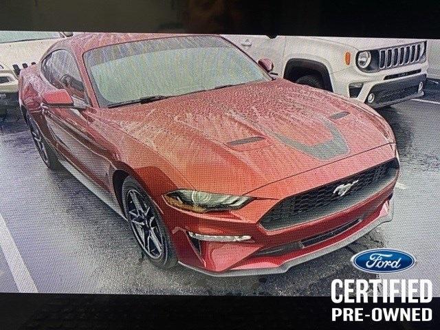 used 2019 Ford Mustang car, priced at $24,961