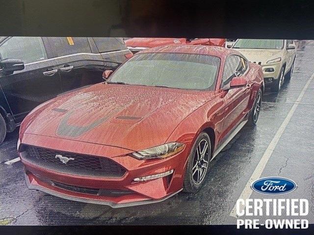 used 2019 Ford Mustang car, priced at $24,961