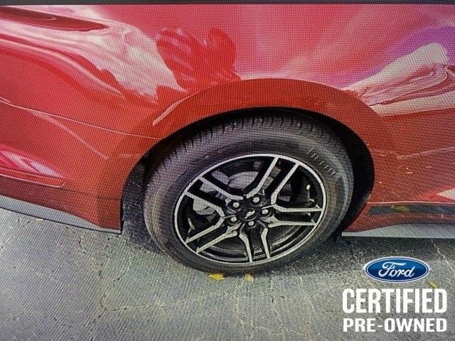 used 2019 Ford Mustang car, priced at $24,961