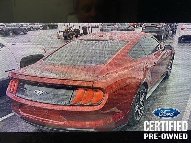 used 2019 Ford Mustang car, priced at $24,961