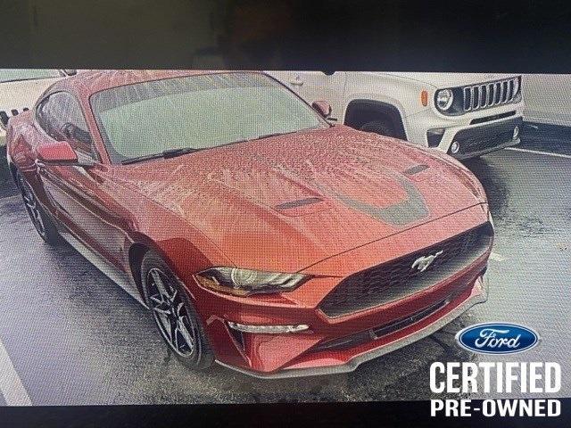 used 2019 Ford Mustang car, priced at $24,961