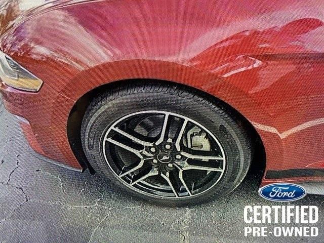 used 2019 Ford Mustang car, priced at $24,961