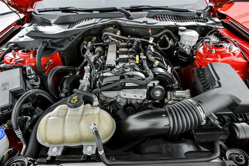 used 2021 Ford Mustang car, priced at $19,995