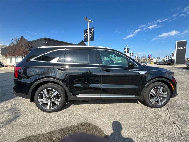 used 2024 Kia Sorento Hybrid car, priced at $36,888