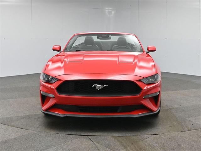 used 2023 Ford Mustang car, priced at $24,901