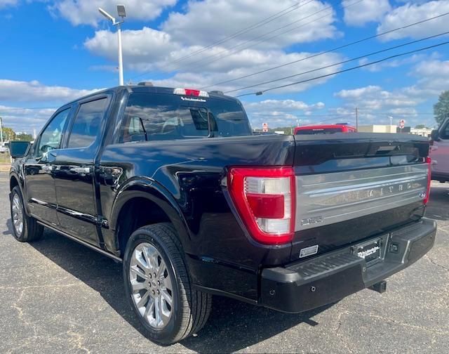 used 2021 Ford F-150 car