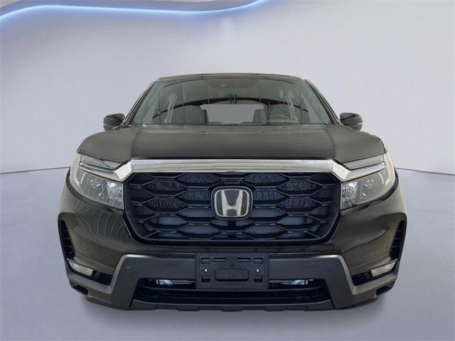 new 2025 Honda Passport car, priced at $43,795