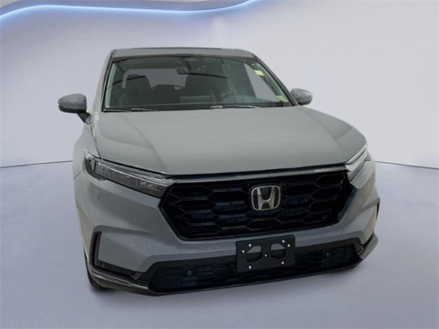 new 2025 Honda CR-V car, priced at $38,305