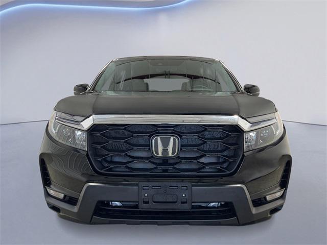 new 2025 Honda Passport car, priced at $44,440