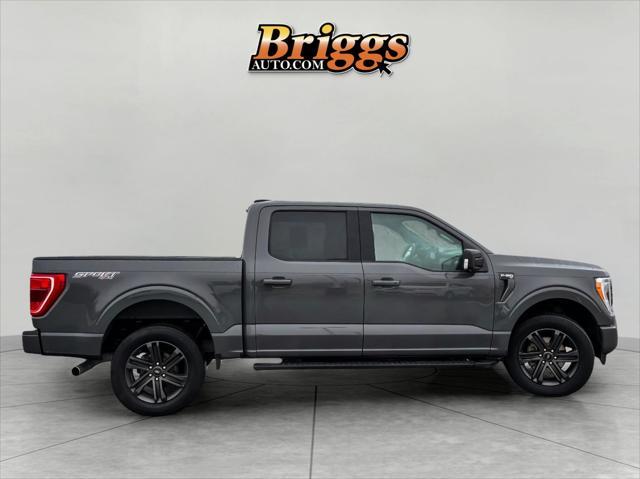 used 2021 Ford F-150 car