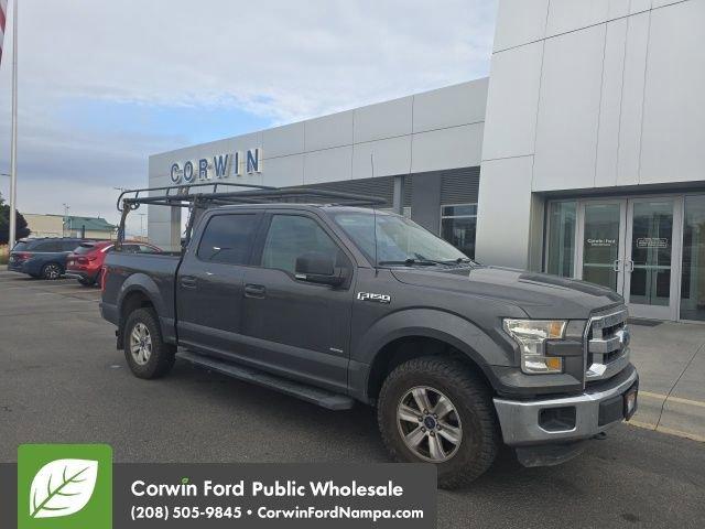 used 2015 Ford F-150 car