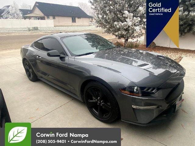 used 2022 Ford Mustang car, priced at $21,989