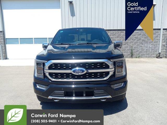 used 2023 Ford F-150 car, priced at $57,500