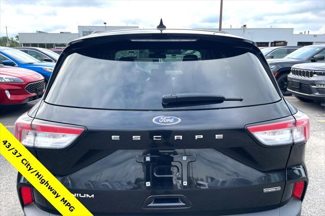 used 2021 Ford Escape car, priced at $21,000