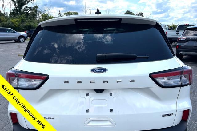 used 2021 Ford Escape car, priced at $20,000