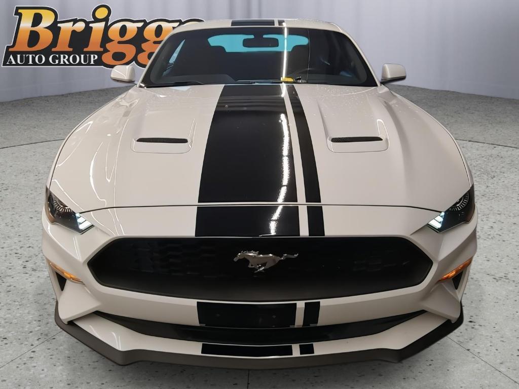 used 2019 Ford Mustang car