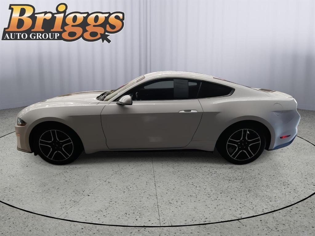 used 2019 Ford Mustang car