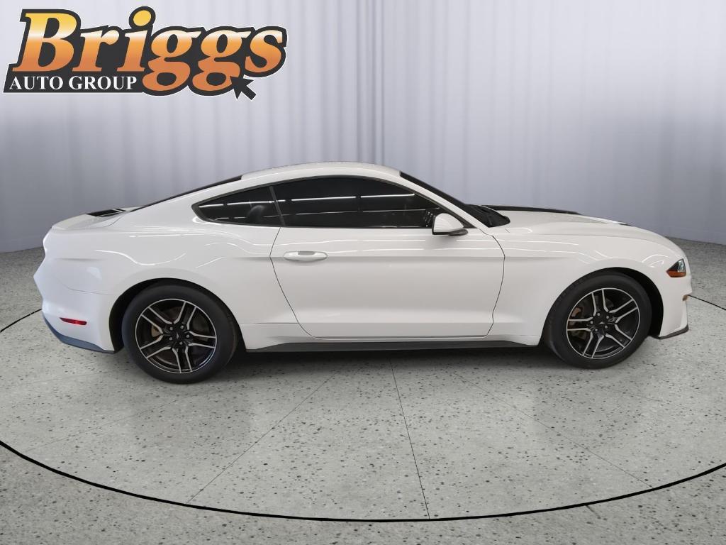 used 2019 Ford Mustang car