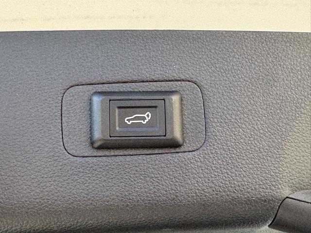 used 2024 Kia Carnival car, priced at $31,998