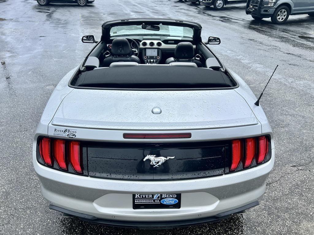 used 2019 Ford Mustang car, priced at $19,262