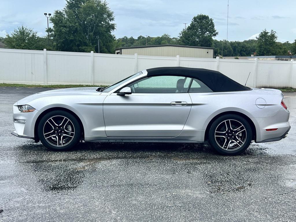 used 2019 Ford Mustang car, priced at $19,262