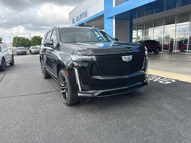 used 2024 Cadillac Escalade car