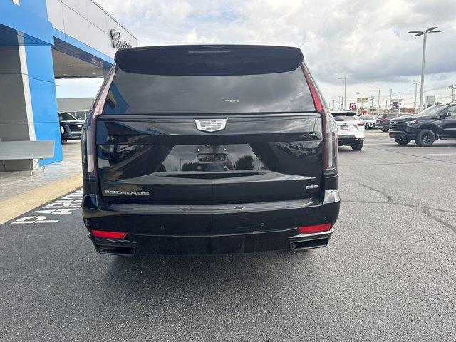 used 2024 Cadillac Escalade car